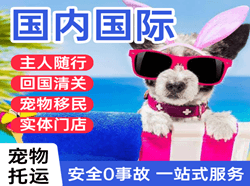 昌北机场邮寄国际宠物托运 【国